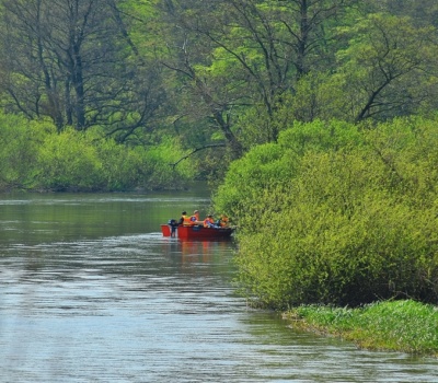 Cleaning of the river Parsęta 2018