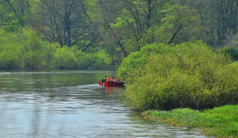 Reinigung des Flusses Parsęta 2018